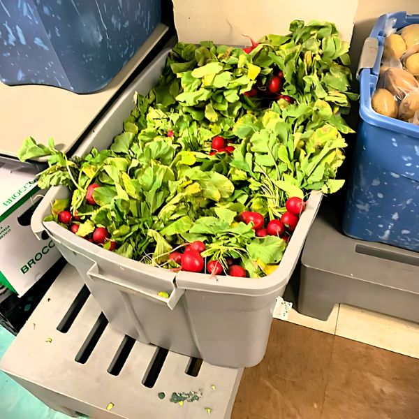 FeedNYC Vegetable Basket