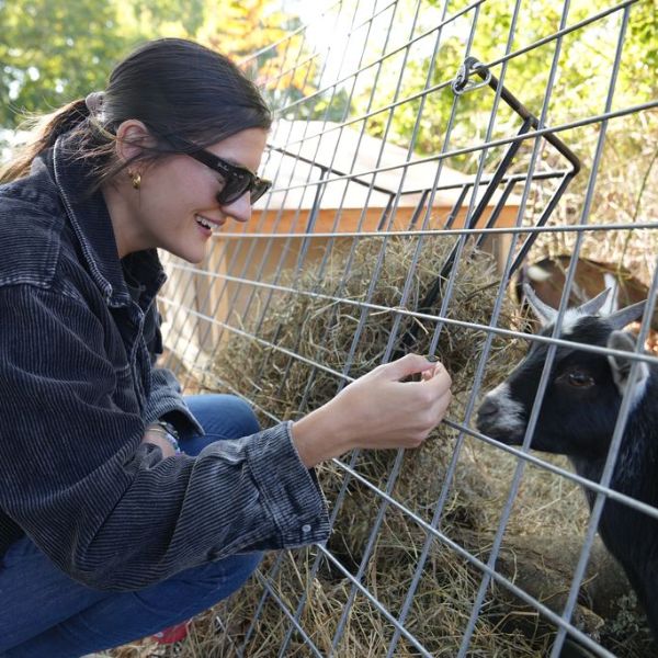 FeedNYC Volunteer Feeding Goats FeedNYC Volunteers at Event